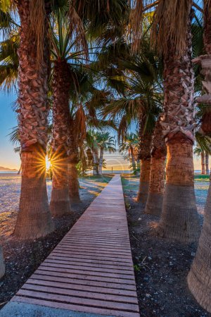 Photo for Walkway lined with palm trees that gives access to the Poniente beach of Motril, Costa Tropical de Granada. - Royalty Free Image