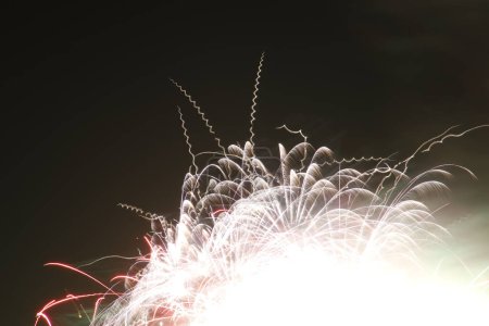 Photo for Fireworks spectacle in a summer night - Royalty Free Image
