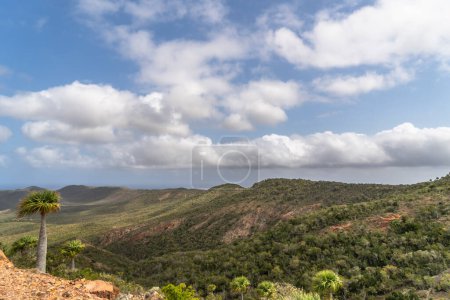 Photo for Scenic view of the sky and scenery on an island in the Caribbean - Royalty Free Image