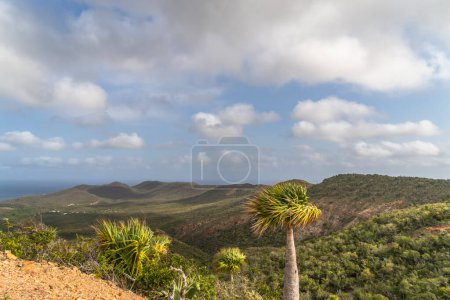 Foto de Vista panorámica del cielo y el paisaje de una isla en el Caribe - Imagen libre de derechos
