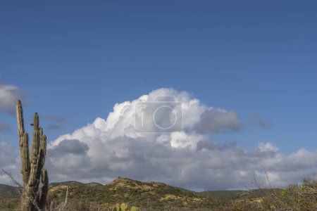 Téléchargez les photos : Paysage étonnant de l'île de Curaçao avec ciel nuageux - en image libre de droit