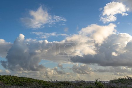 Photo for Amazing landscape of Curacao island with cloudy sky - Royalty Free Image