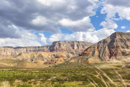 Foto de Paisaje con vistas a las montañas y pastizales en Snow Canyon State Park, Utah, Estados Unidos - Imagen libre de derechos
