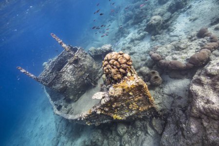 Foto de Naufragio en aguas turquesas de arrecife de coral en el Mar Caribe, Curazao - Imagen libre de derechos