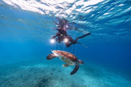 Foto de Buceador con una tortuga bajo el agua en el mar Caribe - Imagen libre de derechos