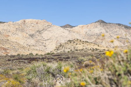 Foto de Paisaje con vistas a las montañas y pastizales en la zona de Snow Canyon, Utah, EE.UU.. - Imagen libre de derechos