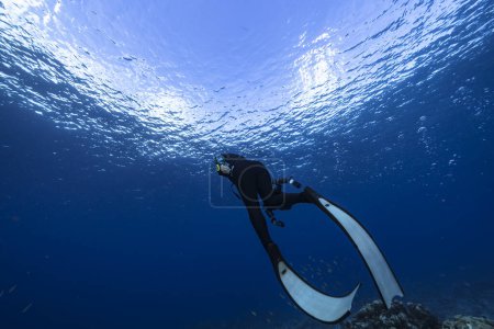 Photo for Underwater view of scuba diver in the blue sea - Royalty Free Image