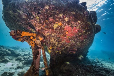 Téléchargez les photos : Épave de navire dans l'eau turquoise du récif corallien dans la mer des Caraïbes, Curaçao - en image libre de droit