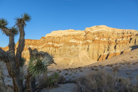 Téléchargez les photos : Paysage avec falaises rocheuses rouges, et désert de pierre près de Mojave, Californie dans l'ouest des États-Unis. - en image libre de droit