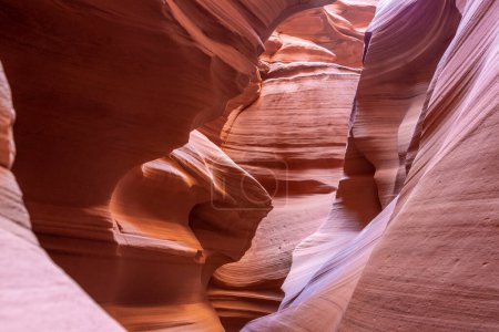 Téléchargez les photos : Paysage dans un canyon à fente avec des parois rocheuses ondulées et lisses, Canyon X, Arizona, USA - en image libre de droit