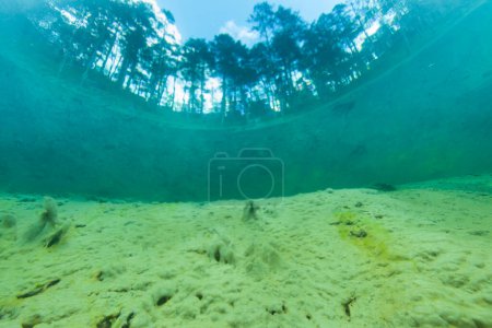 Photo for Underwater landscape with a beautiful Samaranger lake - Royalty Free Image