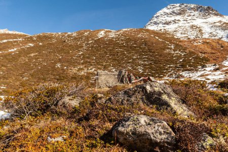 Téléchargez les photos : Photographe animalier camouflé dans les paysages automnaux des Alpes européennes - en image libre de droit