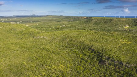 Foto de Vista aérea sobre el paisaje de Curazao, Caribe con océano, costa, colinas y cielo - Imagen libre de derechos