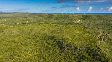 Téléchargez les photos : Vue aérienne au-dessus du paysage de Curaçao, Caraïbes avec océan, côte, collines et ciel - en image libre de droit