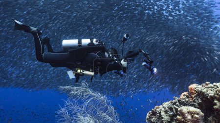 Foto de Escena submarina con submarinista y peces - Imagen libre de derechos