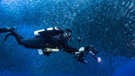 Téléchargez les photos : Vue sous-marine d'un plongeur et de poissons - en image libre de droit