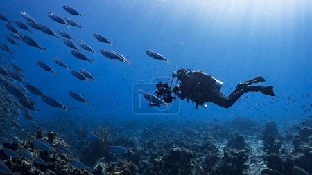 Photo for Underwater view of a scuba diver in the blue sea - Royalty Free Image