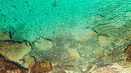 Téléchargez les photos : Belle côte de mer sur la plage - en image libre de droit