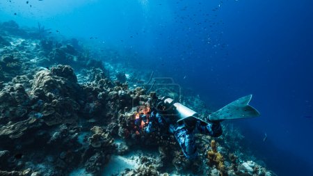 Téléchargez les photos : Plongée sous-marine dans la mer des Caraïbes - en image libre de droit