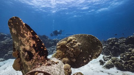 Professioneller Taucher, Unterwasser-Kameramann im Korallenriff der Karibik rund um Curacao