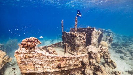 Schiffswrack "Schlepper" im flachen Wasser des Korallenriffs in der Karibik mit Curaçao Flagge, Blick auf die Oberfläche und Sonnenstrahlen
