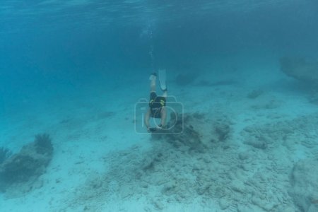 Téléchargez les photos : Plongée en apnée dans la mer des Caraïbes - en image libre de droit