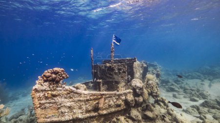 Foto de Naufragio "Tugboat" en aguas poco profundas de arrecife de coral en el mar Caribe con Bandera de Curazao, vista a la superficie y rayos de sol - Imagen libre de derechos