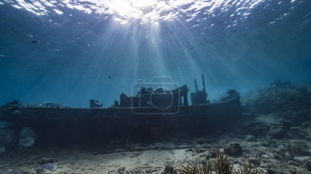 Photo for Ship wreck "Tugboat" in shallow water of coral reef in Caribbean sea with Curacao Flag, view to surface and sunbeams - Royalty Free Image