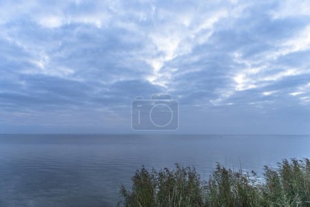 Téléchargez les photos : Paysage sur la péninsule de Darss, mer Baltique, Allemagne - en image libre de droit