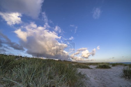 Foto de Paisaje en la península de Darss, Mar Báltico, Alemania - Imagen libre de derechos