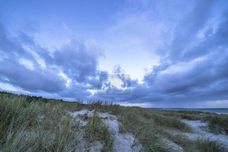 Téléchargez les photos : Paysage sur la péninsule de Darss, mer Baltique, Allemagne - en image libre de droit