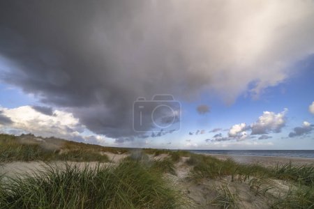 Foto de Paisaje en la península de Darss, Mar Báltico, Alemania - Imagen libre de derechos