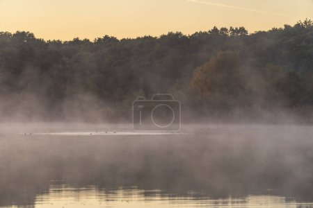 Photo for Beautiful view of a foggy sunrise on the lake - Royalty Free Image