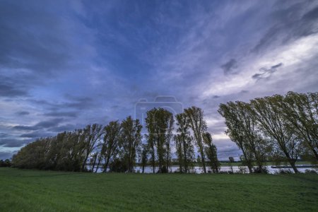 Foto de Hermoso paisaje otoñal con árboles y hermoso cielo dramático - Imagen libre de derechos