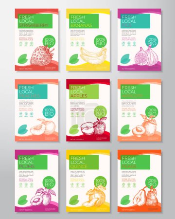 Illustration for Fresh Local Fruits and Berries Label Templates Collection. Abstract Vector Packaging Design Layouts Set. Modern Typography Banner with Hand Drawn food Sketch Silhouettes Backgrounds. Isolated - Royalty Free Image