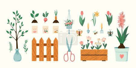 Illustration for Home vegetables gardening hobby illustrations set. Vector plants, flowers, and garden tools spring seasonal flat style collection. Isolated - Royalty Free Image