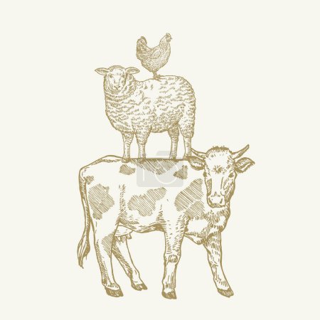 Téléchargez les illustrations : Style de gravure dessiné à la main Vache, mouton et poulet Sillhouettes debout l'un sur l'autre comme une pyramide. Illustration vectorielle dessin rétro Isolé - en licence libre de droit
