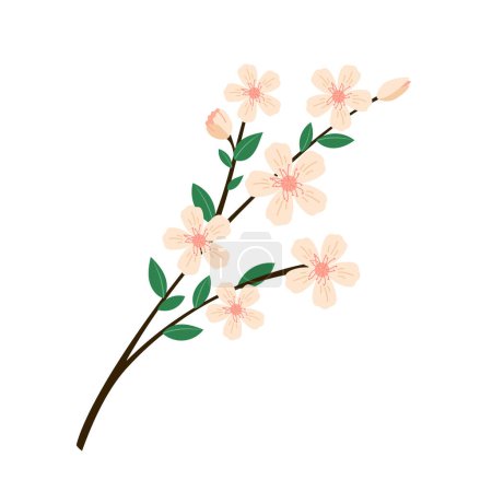 Photo for Blooming tree branch spring vector illustration. Green leaves and pink flowers blossom twig seasonal flat style drawing. Isolated - Royalty Free Image