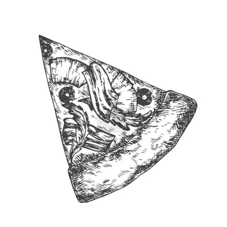 Téléchargez les illustrations : Pièce de pizza au bacon, olives et basilic. Croquis dessiné à la main Illustration vectorielle de la nourriture. Cuisine italienne traditionnelle Caniche. Isolé - en licence libre de droit