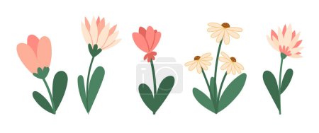 Illustration for Blooming flowers spring vector illustrations collection. Green leaves and flowers blossom seasonal flat style drawings set. Isolated - Royalty Free Image