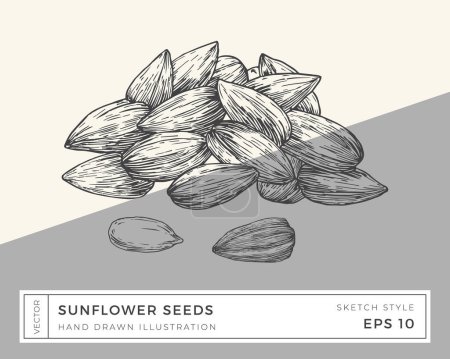 Illustration for Hand Drawn Vector Sunflower Seeds Illustration. Vegan Based Food Drawing with Colorful Background. Isolated - Royalty Free Image