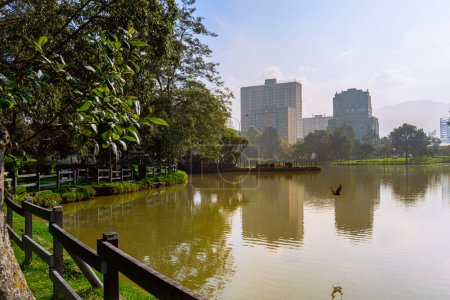 Lake in city natural park with some green trees and high buildings at background at morning 