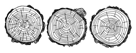 set of round wood cuts. vector line drawing.