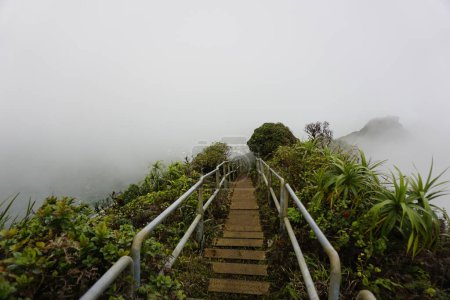 Haiku stairway to heaven in clouds. Known as Stairs to heaven or Haiku Ladder. Steel step structure provide pedestrian access to CCL Bunker at the top of  Koolau mountain in Oahu island in Hawaii