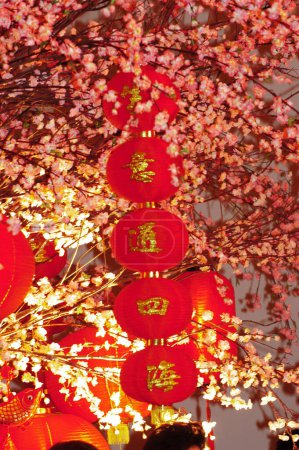 Téléchargez les photos : Ornement Chine Nouvel An - en image libre de droit