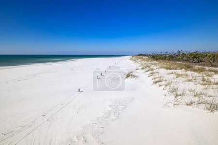 Discovering nature's gem at St. Joe State Park, Florida, where the beauty of white sands meets the irresistible attraction of emerald waters. A coastal paradise waiting to delight your senses
