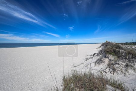 "Nature's canvas St. Andrews State Park reveals its pristine beauty with emerald-blue waters meeting white sands under a clear blue sky, a perfect harmony of colors and tranquility.  #StAndrewsParadise #NatureBliss"