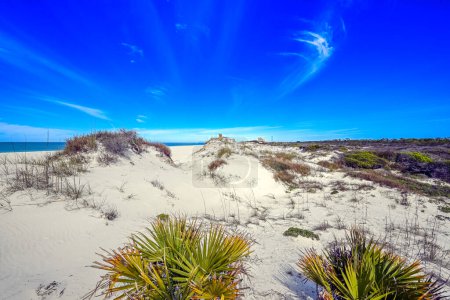 "Le pays des merveilles de la nature Les dunes de sable blanc comme neige créent un paysage fascinant au parc d'État de St. Andrews, où la beauté immaculée du littoral invite à l'exploration et à la crainte. #StAndrewsWonder #NatureSplendor"