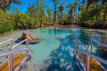 "Crystal Clear Wonder: Williford Springs showcases its mesmerizingly clear aqua water, inviting all to marvel at its natural beauty and purity."