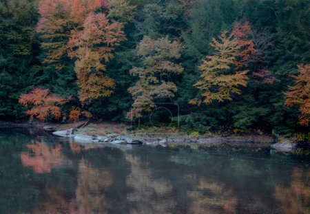 Foto de Colores de otoño han llegado a lo largo del río Clarion en Cook Forest State Park, Pennsylvania - Imagen libre de derechos